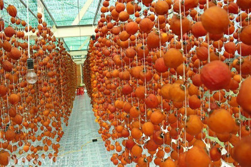 Nhiều đặc sản Đà Lạt được tung ra phục vụ dịp Tết Tân Sửu