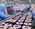 Bộ trưởng Bộ Công Thương gửi công thư tháo gỡ khó khăn cho thuỷ sản xuất khẩu sang Campuchia 