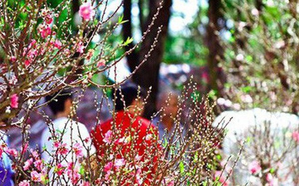 Nhận định thời tiết Tết Nguyên đán 2021 Rét đậm chỉ xuất hiện ngắn ngày trong tháng 2