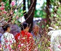 Nhận định thời tiết Tết Nguyên đán 2021 Rét đậm chỉ xuất hiện ngắn ngày trong tháng 2 
