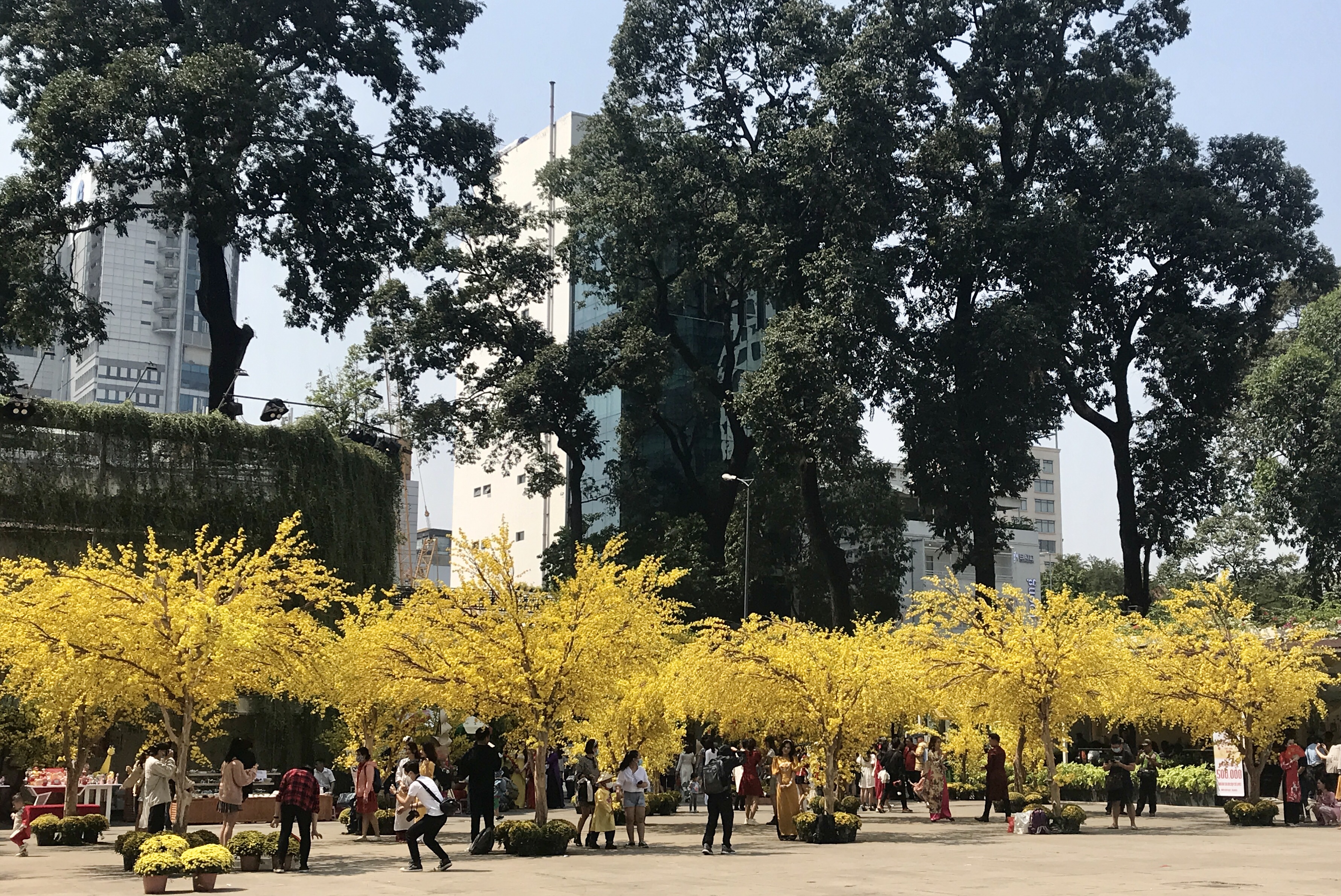 TPHCM Rực rỡ sắc Xuân