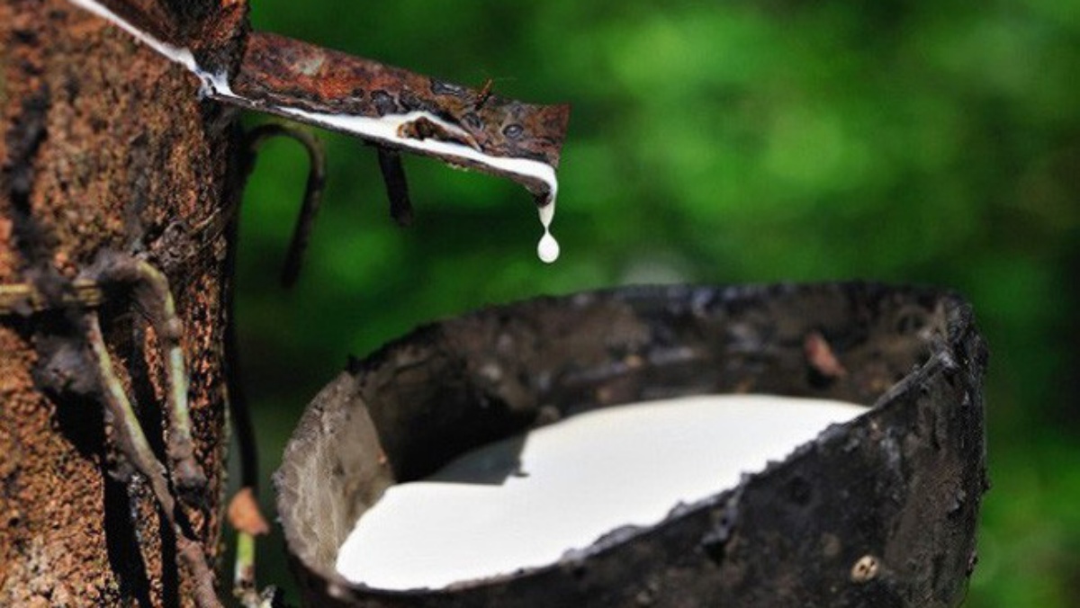 PHR đặt kế hoạch ợi nhuận năm 2021 là 750.8 tỷ đồng, giảm mạnh so với năm 2020