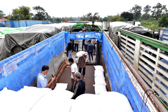 Xuất cấp hơn 11.000 tấn gạo dự trữ hỗ trợ nhân dân dịp Tết Nguyên đán Tân Sửu