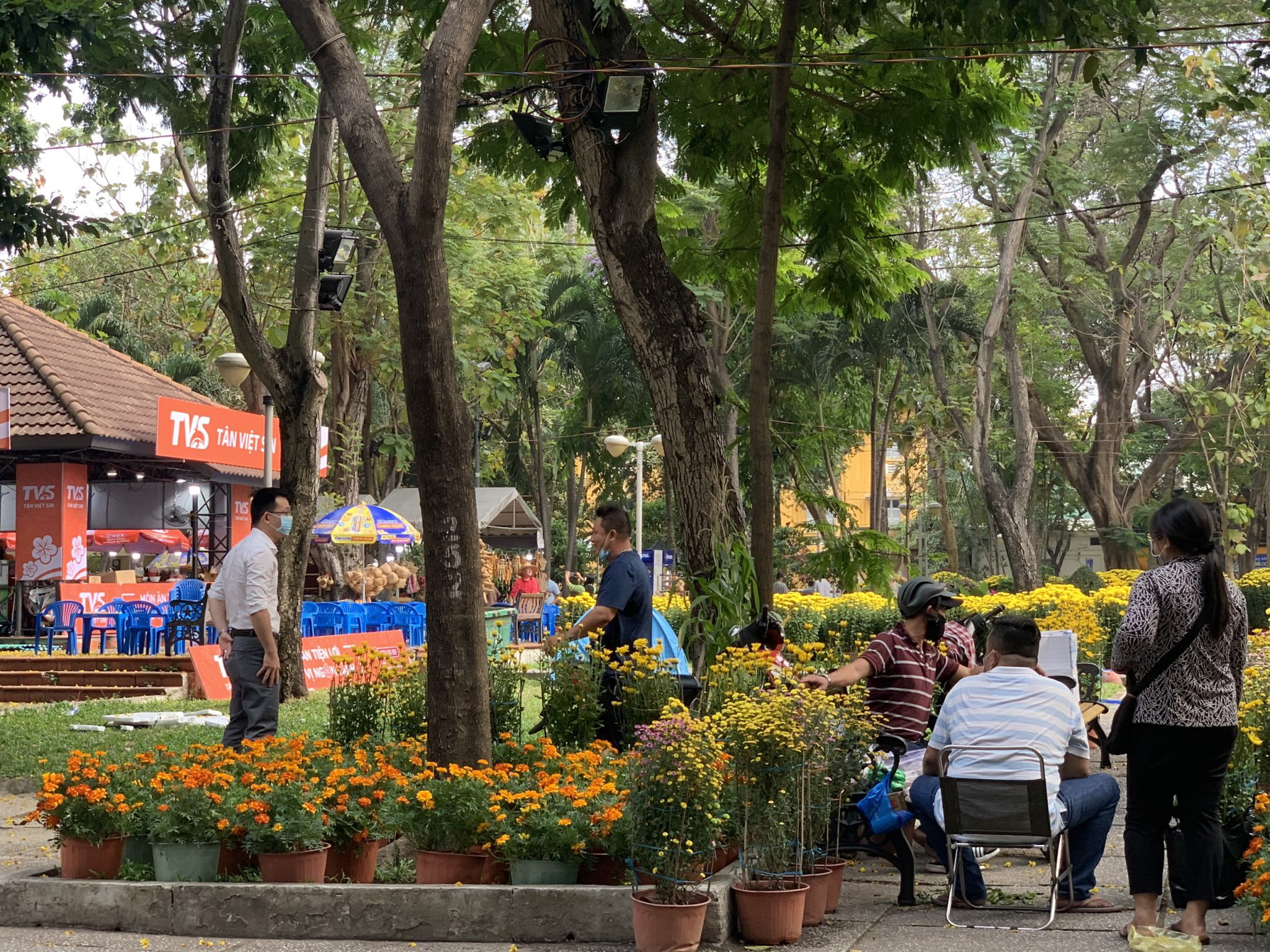 TP.Hồ Chí Minh Hoa Tết xuống phố