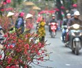 Dự báo thời tiết dịp Tết Nguyên Đán từ 6/2- 16/2 các khu vực trên cả nước 