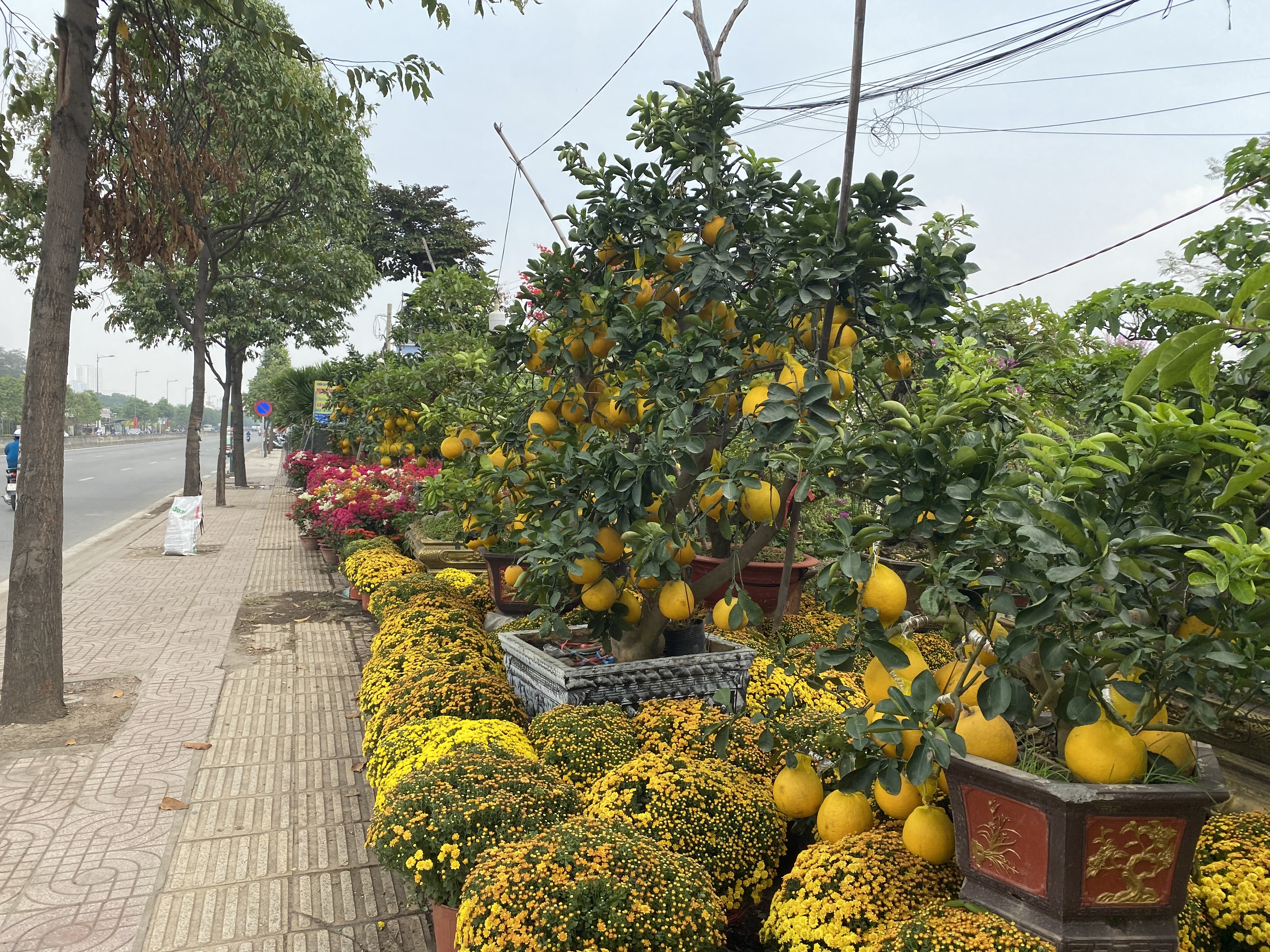 TP HCM chia sẻ khó khăn cùng với các tiểu thương, nhà vườn do ảnh hưởng dịch Covid-19