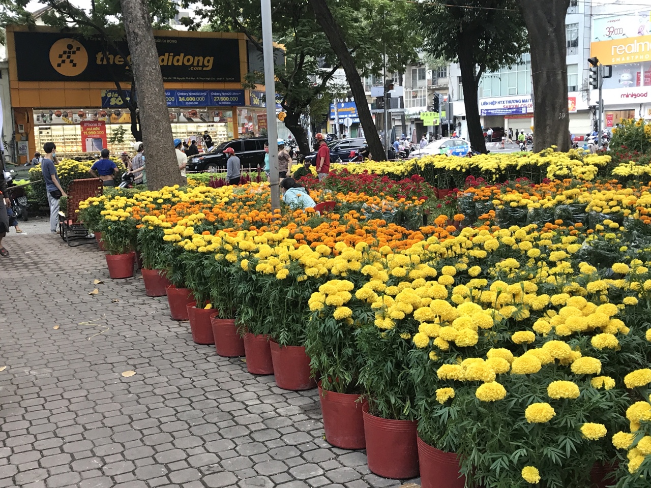 TP.HCM Chợ hoa vắng vẻ trong chiều 29 Tết