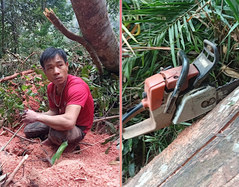 Bắt nhóm lâm tặc khai thác rừng trái phép vào thời điểm cận Tết Tân Sửu