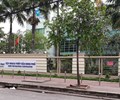 Năm 2020 công ty mẹ Minh Phú lãi 547 tỷ đồng giảm 16 