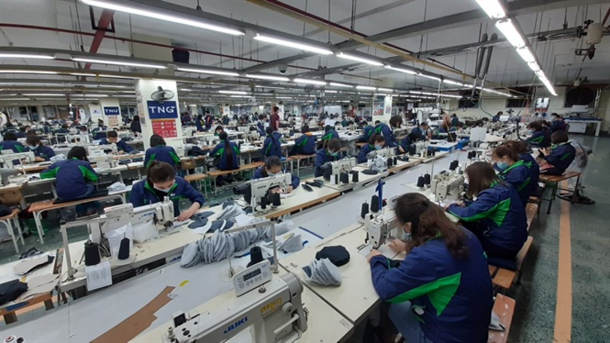 TNG lãi hơn 12 tỷ đồng trong tháng 12021