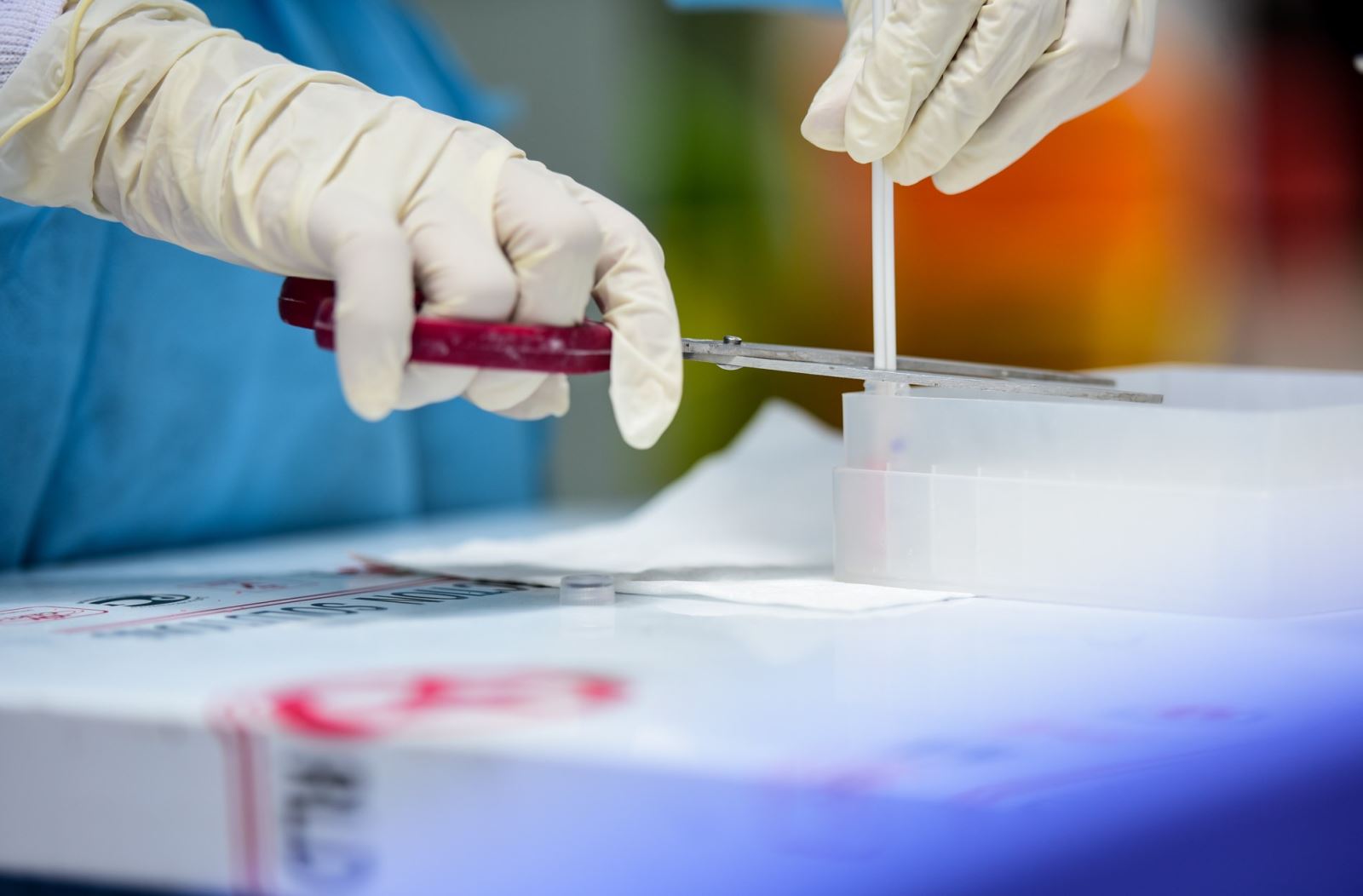 Đã có kết quả xét nghiệm của các F1 tại Xi măng Vicem Hoàng Thạch