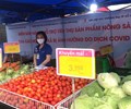 Siêu thị Co.opmart hỗ trợ giải cứu nông sản Hải Dương 