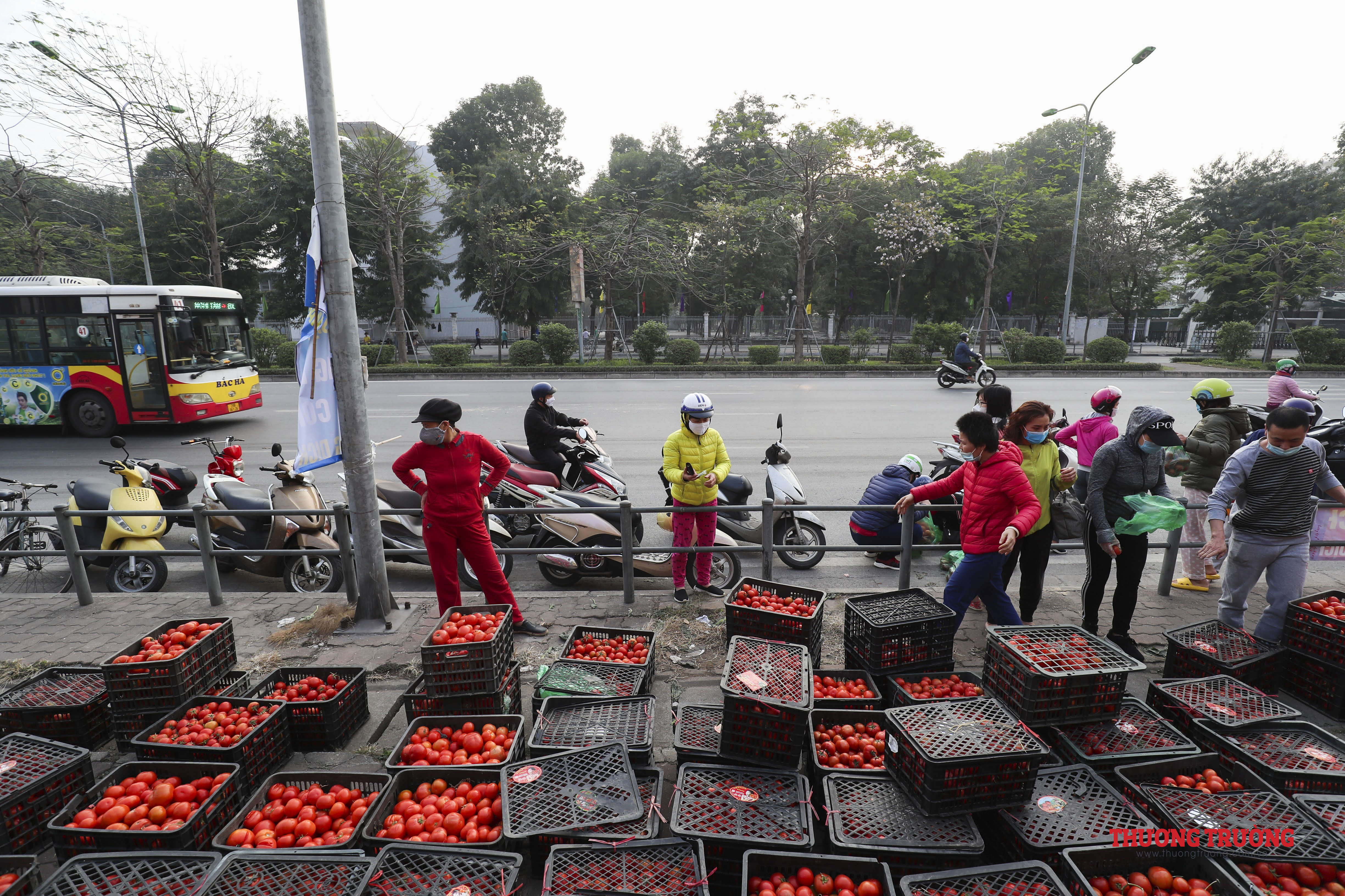 Người dân Hà Nội đổ xô đi giải cứu nông sản Hải Dương