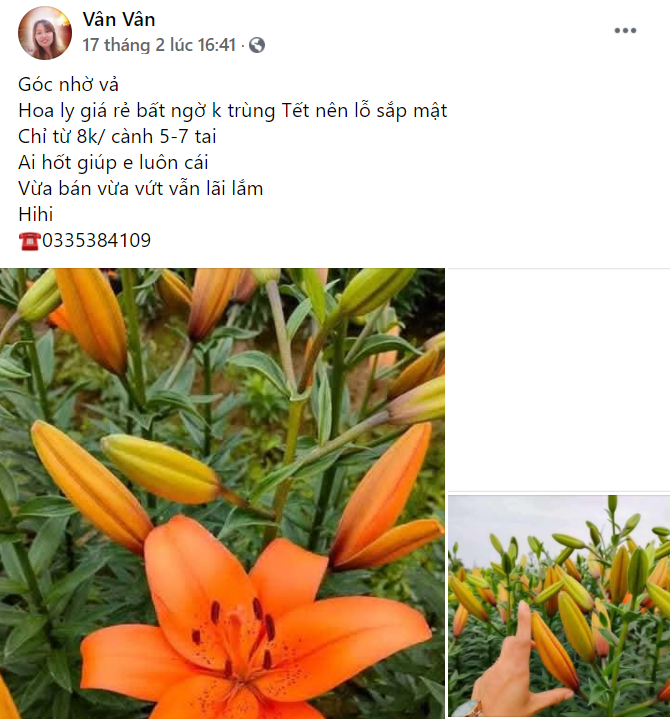 Giá hoa ly giảm còn 7.000 đồngcành