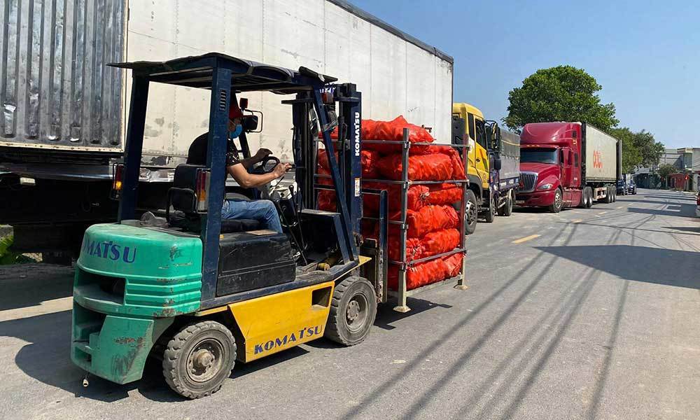 Nhiều khó khăn vướng mắc trong tiêu thụ nông sàn trong vùng dịch