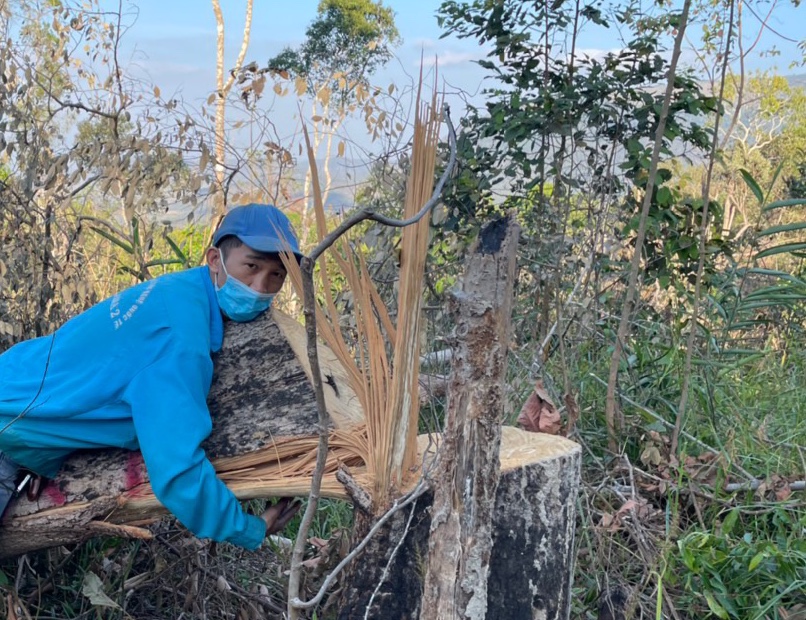 Đắk Lắk Hành trình thâm nhập rừng tự nhiên bị tàn phá khủng khiếp