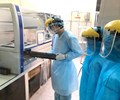 Biến chủng Covid-19 ở Hải Phòng có khả năng lây nhiễm rất nhanh 
