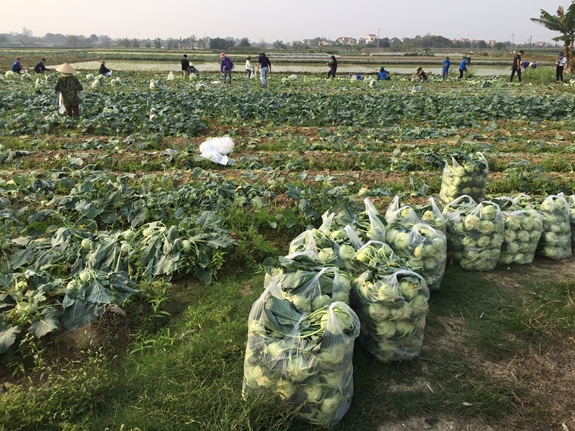 Đừng để nội thương ách tắc