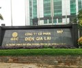 Điện Gia Lai đầu tư gần 10 tỷ đồng cho 1 công ty năng lượng ở Tiền Giang 