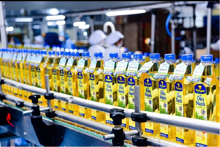 Tường An phát hành gần 17 triệu cổ phiếu để tăng vốn điều lệ