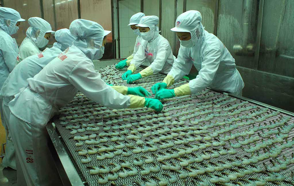 Xuất khẩu tôm vấp phải cạnh tranh từ Ấn Độ