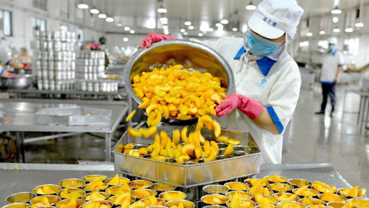 Thương mại Việt – Anh tăng trưởng ngoạn mục sau khi ký kết UKVFTA