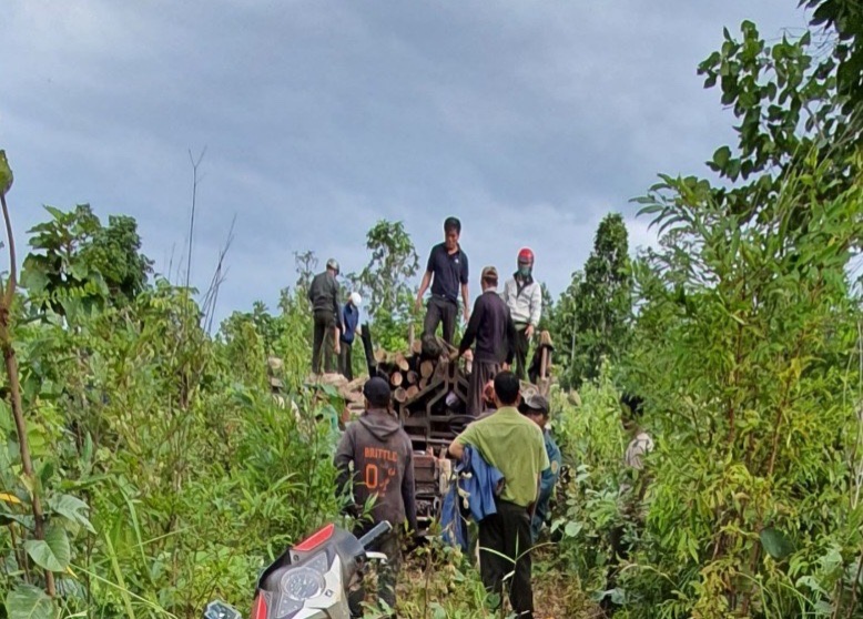 Lâm tặc đe dọa cán bộ Công ty quản lý rừng ở Đắk Lắk