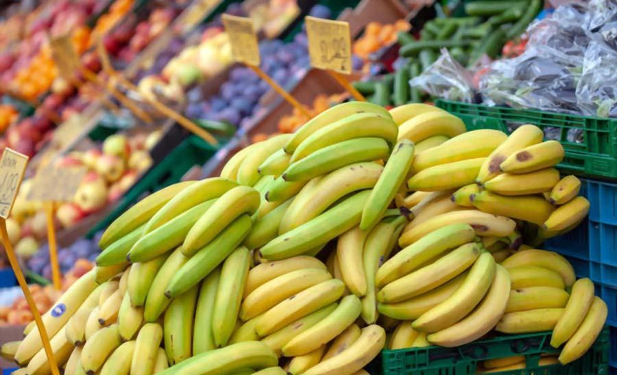 Chuối Việt Nam nhập khẩu vào thị trường EU với khối lượng thấp nhưng giá cao ngất