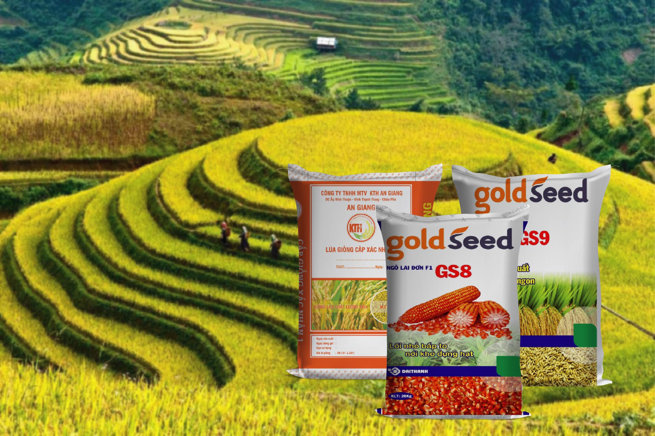 Một thành viên của INN đã mua 80.000 cổ phiếu