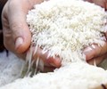 Giá gạo hôm nay 9/3 Đi ngang sau phiên giảm mạnh 