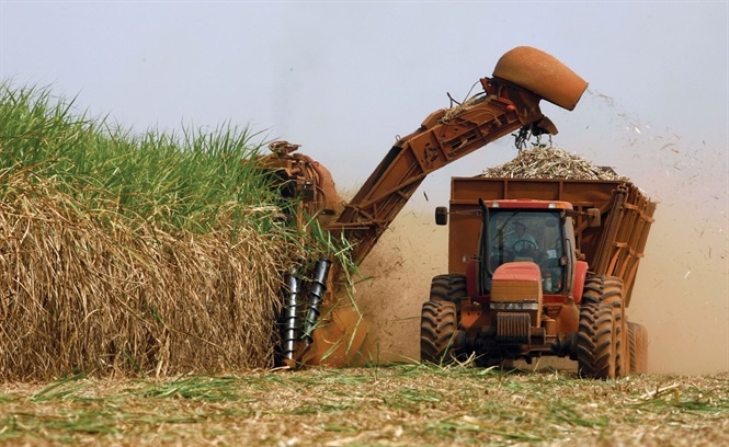 EU và Mỹ thỏa thuận điều chỉnh hạn ngạch nông nghiệp hậu Brexit