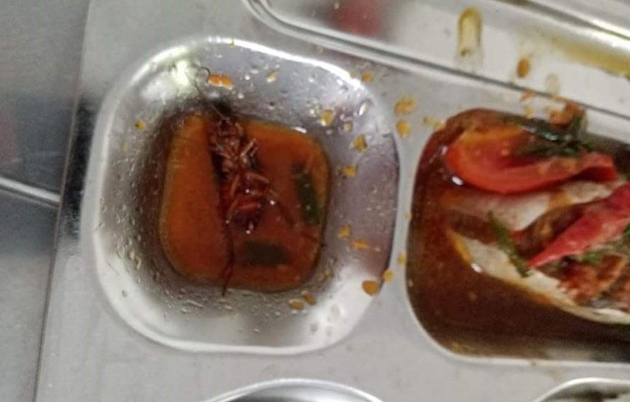 TP HCM Tăng cường giám sát sau vụ có gián trong suất ăn trưa của học sinh