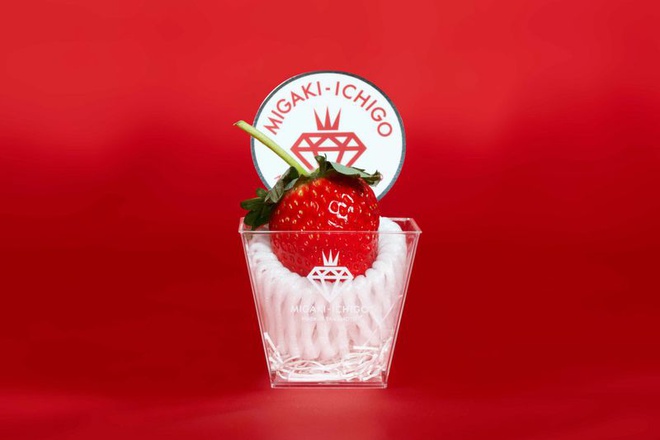 Những quả dâu tây giá 10 USD vực dậy một thị trấn Nhật Bản