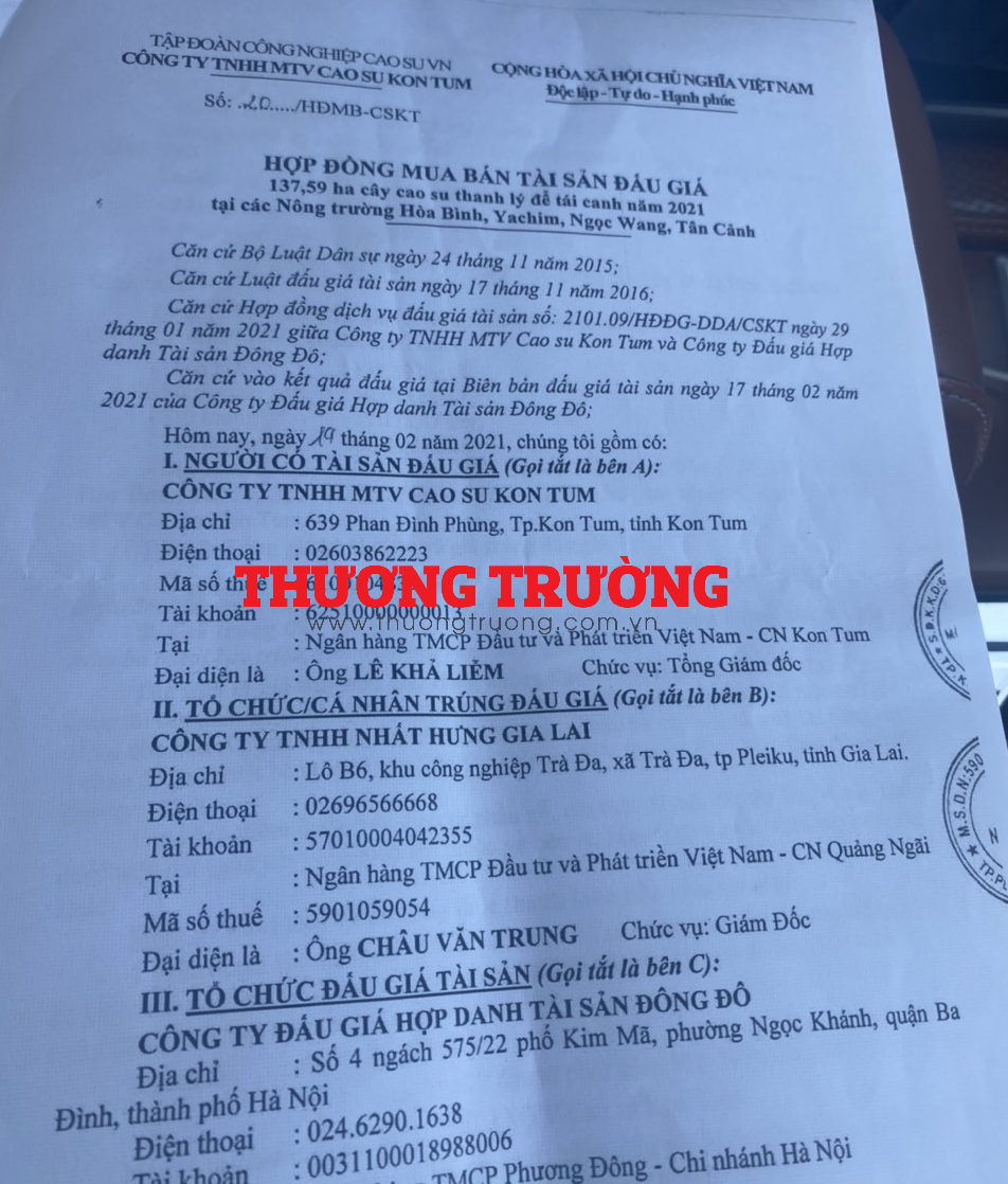 Bài 4 Công ty Đông Đô tiếp diễn sai phạm khi tổ chức đấu giá “chui” 137,59 ha cây cao su của Nhà nước