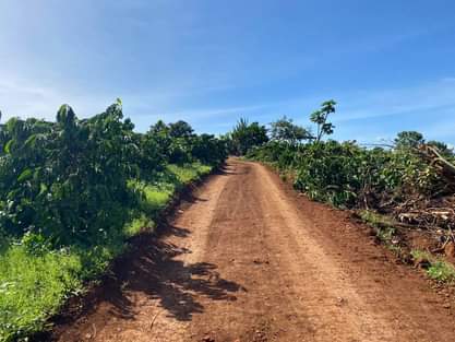 Lâm Đồng Dừng triển khai các chủ trương cho tự nguyện hiến đất làm đường đi tại huyện Lâm Hà