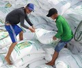 Giá lúa gạo hôm nay 26/3 Duy trì ổn định 