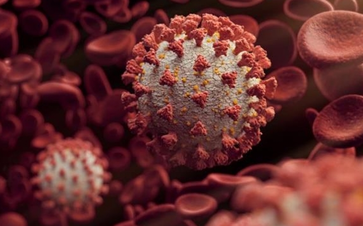 Séc và Thụy Sĩ phát triển kháng thể kép có khả năng chống lại đột biến virus SARS-CoV-2