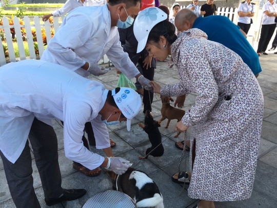 Đắk Lắk 2 người đàn ông chết do chó cắn