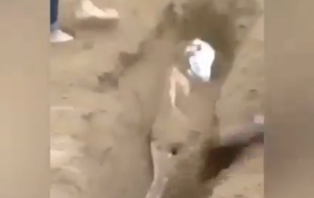 Triệu tập 11 người liên quan vụ hành hung, chôn sống thanh niên 17 tuổi