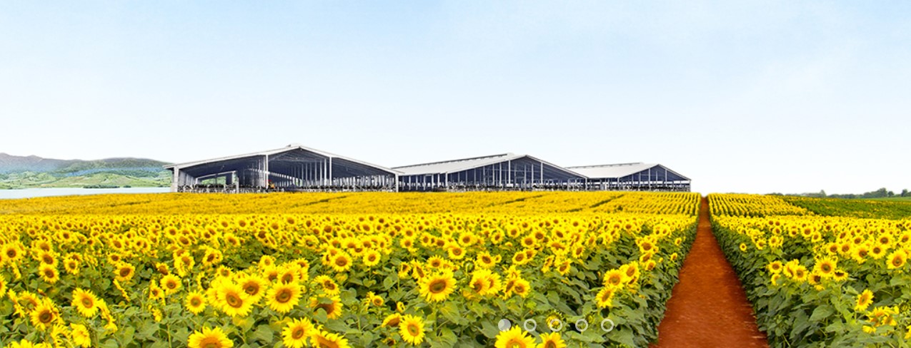 TH True Milk dự kiến sẽ khởi công dự án tại Hòa Bình