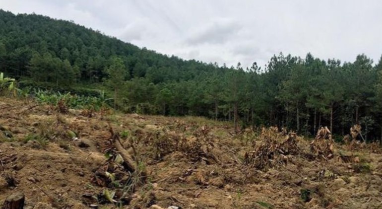 Tổng Công ty Bưu điện Việt Nam bị xử phạt 28 triệu đồng