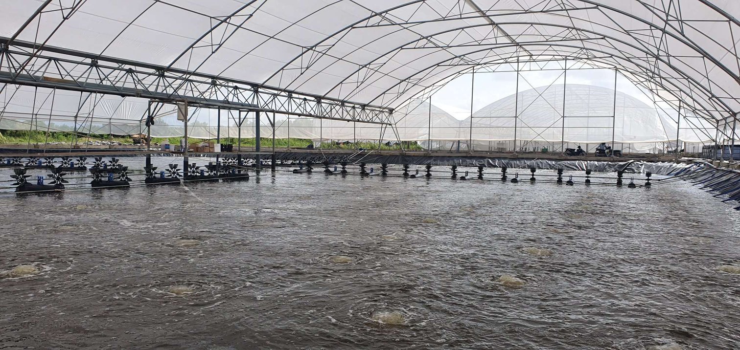 CAT tiếp tục chia cổ tức 20% bằng tiền