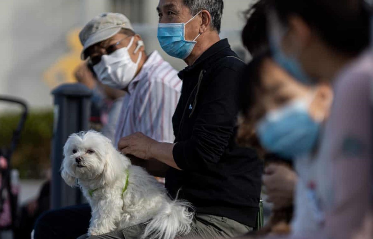 WHO xác nhận virus SARS-CoV-2 lây từ người sang động vật