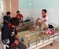Ăn nấm rừng 5 người ở Quảng Nam ngộ độc 