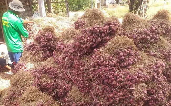 Hành tím khô rớt giá kỷ lục, bán 1 kg không đủ mua ổ bánh mì không