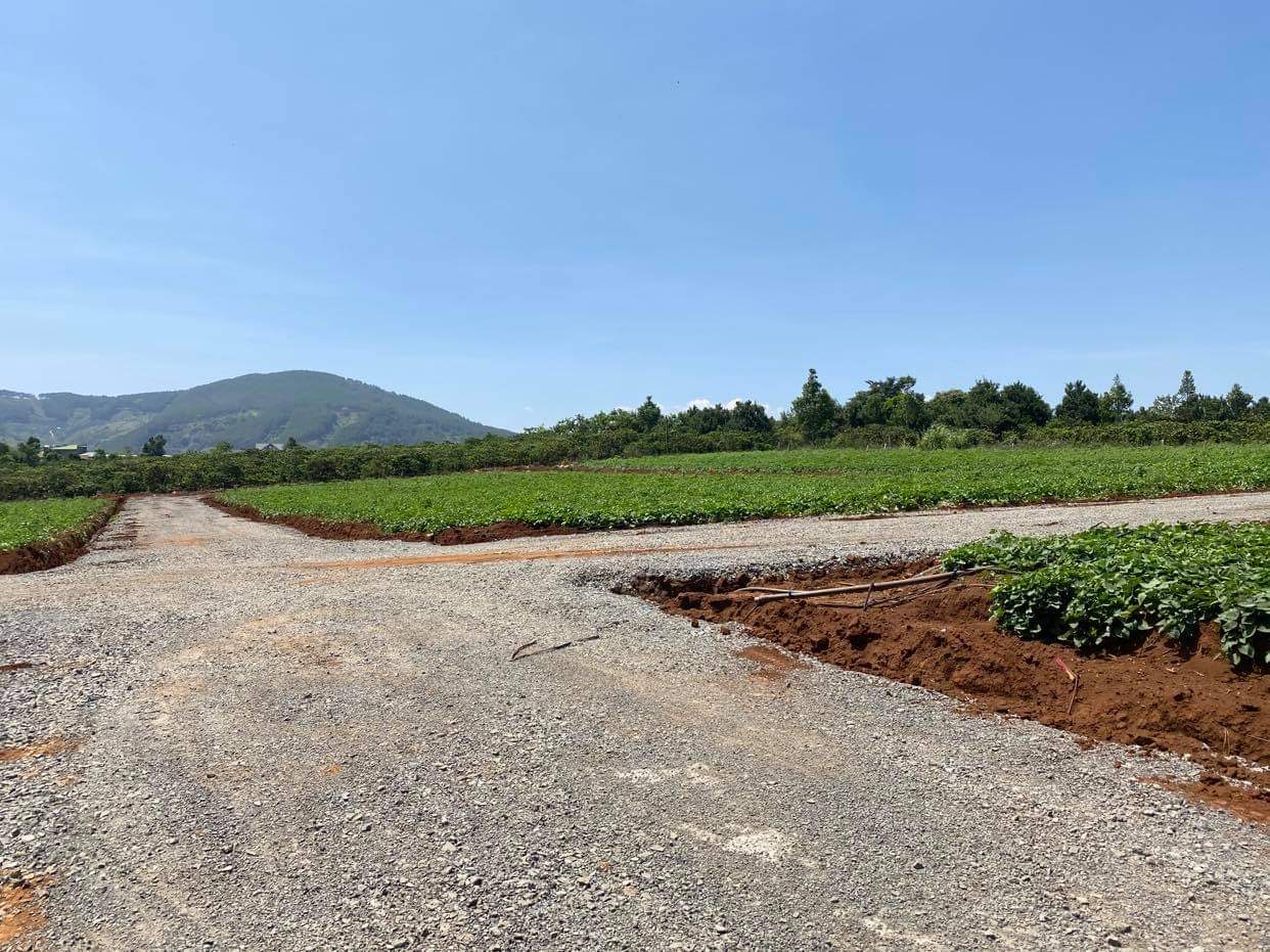 Sau cơn sốt đất ảo, Bộ TN và MT sẽ thanh tra quản lý đất đai tại Khánh Hòa, Lâm Đồng, Bình Thuận