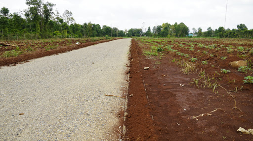 Bà Rịa - Vũng Tàu Khuyến cáo người mua đất nông nghiệp đồng sở hữu