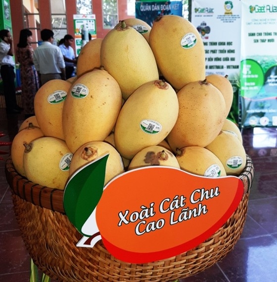 Hướng đến thị trường tiềm năng để mở rộng thị trường xuất khẩu xoài