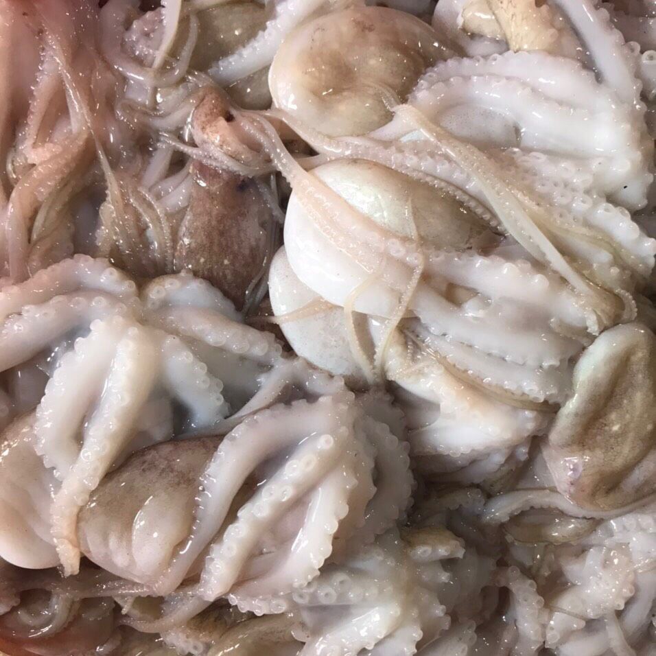 Hàn Quốc giảm nhập bạch tuộc đông lạnh của Việt Nam