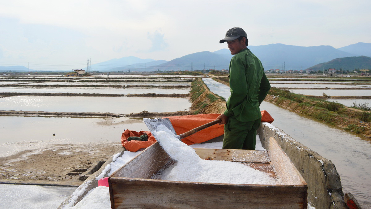 Công ty Muối Việt Nam IPO với giá cao hơn 10,33% giá khởi điểm